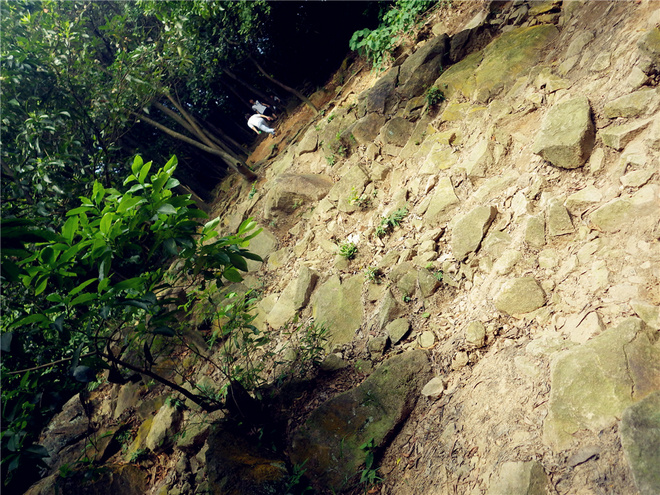 转益多师是汝师——记火窝火越野行