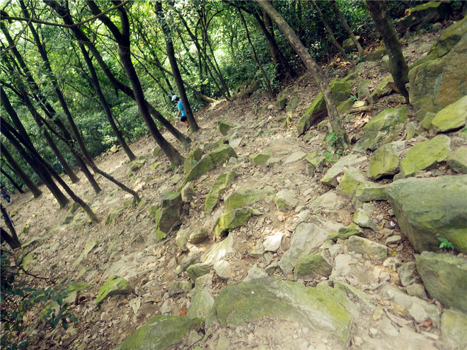 转益多师是汝师——记火窝火越野行