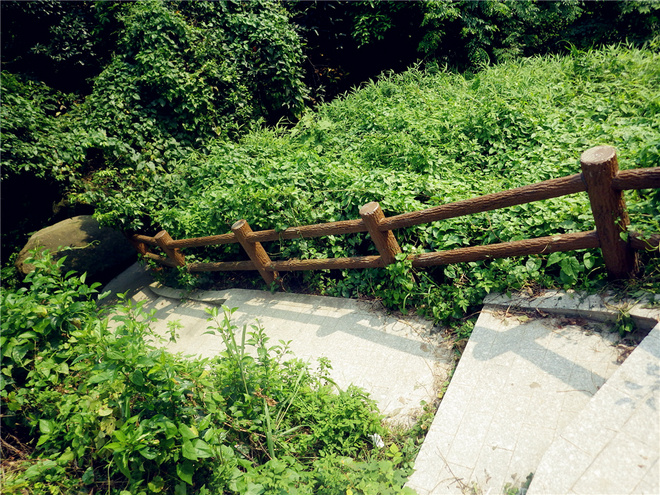 转益多师是汝师——记火窝火越野行