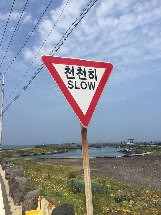 生活不只有眼前的苟且，还有吃和远方——济州岛马拉松城记