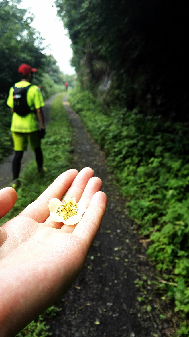 25KM杭州·追狼初探——泉眼相会