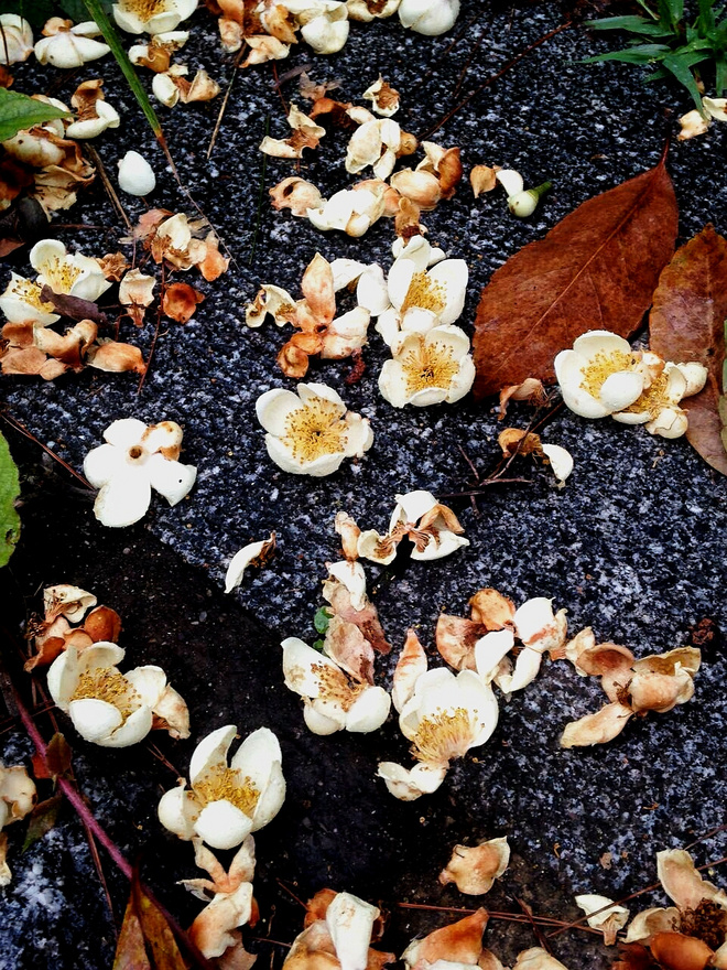 25KM杭州·追狼初探——泉眼相会