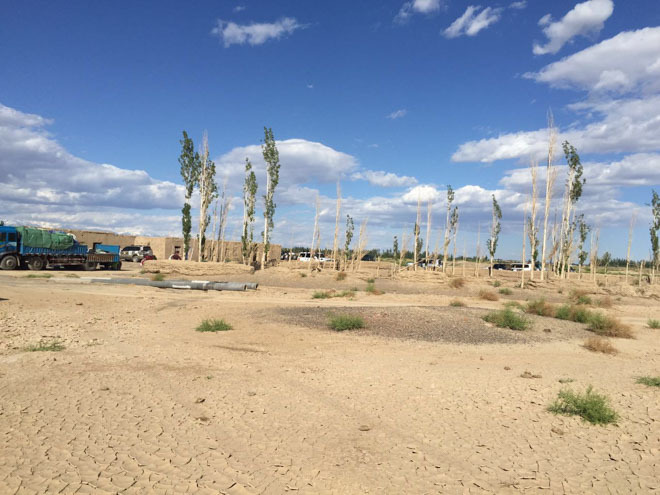 戈壁长征-我与戈壁的六个日日夜夜