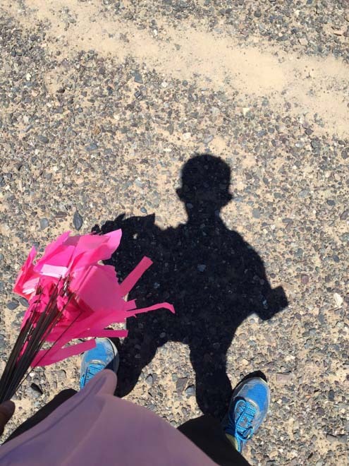 戈壁长征-我与戈壁的六个日日夜夜