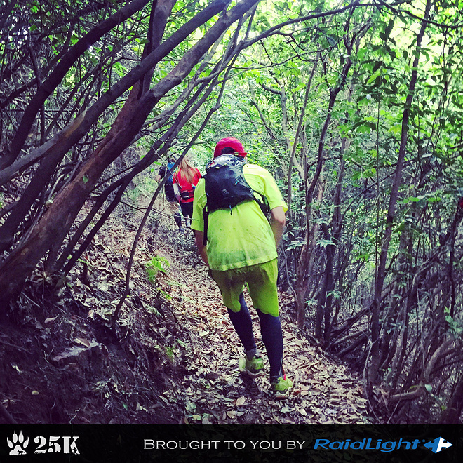 这年的端午，我在山里追狼，你在哪儿？