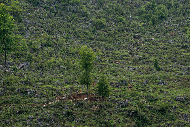 野趣丛生--贵州格凸河丛林穿越测线报告