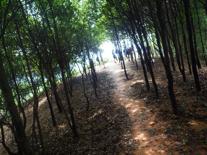 游玩过总有惊喜 只因沿路友你——记友友领队挑战赛