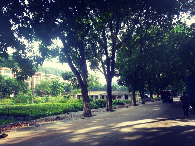 高山低谷 我的脚就是我的路——初探龙洞挑战赛路线