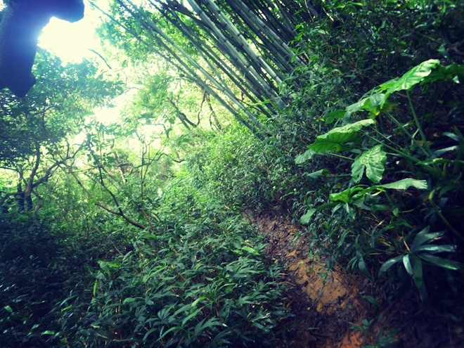 高山低谷 我的脚就是我的路——初探龙洞挑战赛路线