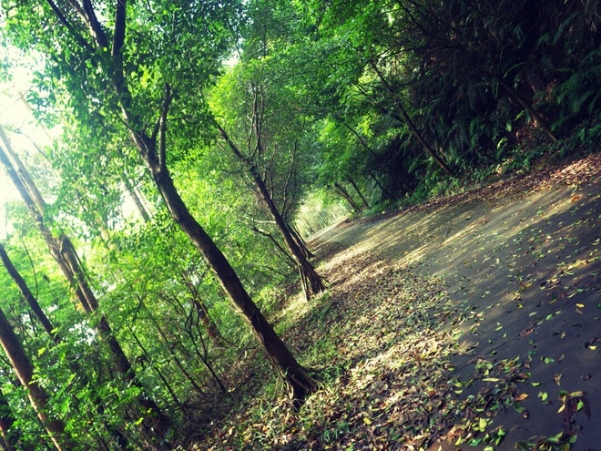 高山低谷 我的脚就是我的路——初探龙洞挑战赛路线