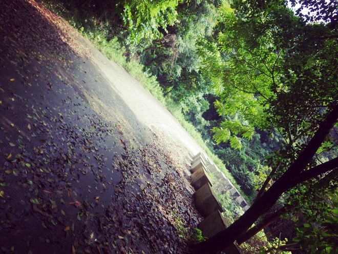 高山低谷 我的脚就是我的路——初探龙洞挑战赛路线