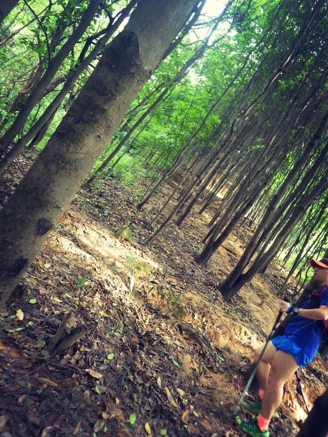 高山低谷 我的脚就是我的路——初探龙洞挑战赛路线