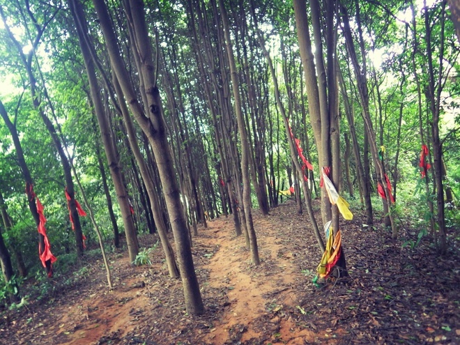 高山低谷 我的脚就是我的路——初探龙洞挑战赛路线