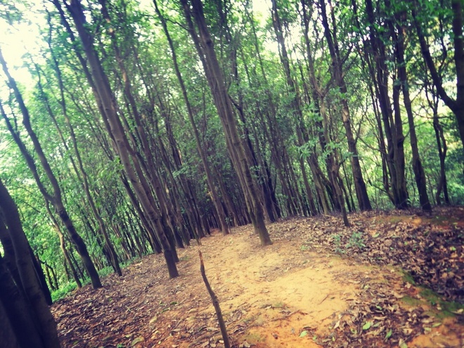 高山低谷 我的脚就是我的路——初探龙洞挑战赛路线