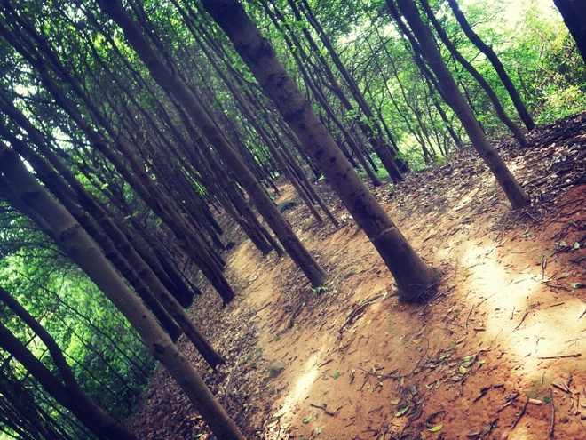 高山低谷 我的脚就是我的路——初探龙洞挑战赛路线