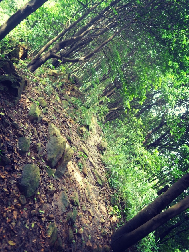 高山低谷 我的脚就是我的路——初探龙洞挑战赛路线