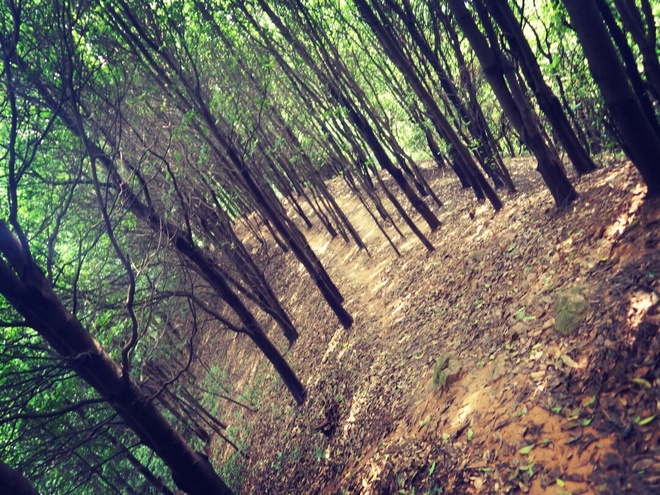 高山低谷 我的脚就是我的路——初探龙洞挑战赛路线