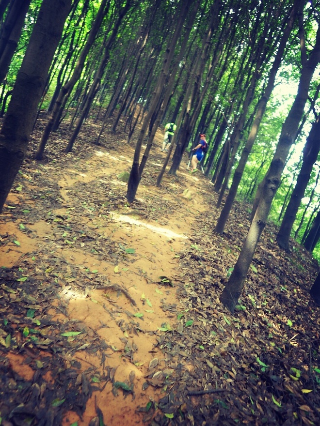 高山低谷 我的脚就是我的路——初探龙洞挑战赛路线