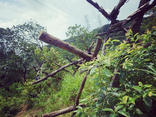 高山低谷 我的脚就是我的路——初探龙洞挑战赛路线