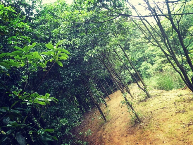 游玩过总有惊喜 只因沿路友你——记友友领队挑战赛