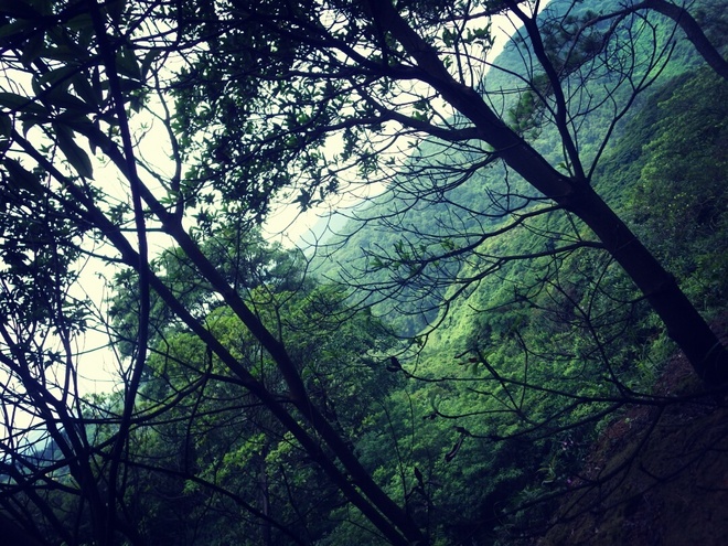 游玩过总有惊喜 只因沿路友你——记友友领队挑战赛