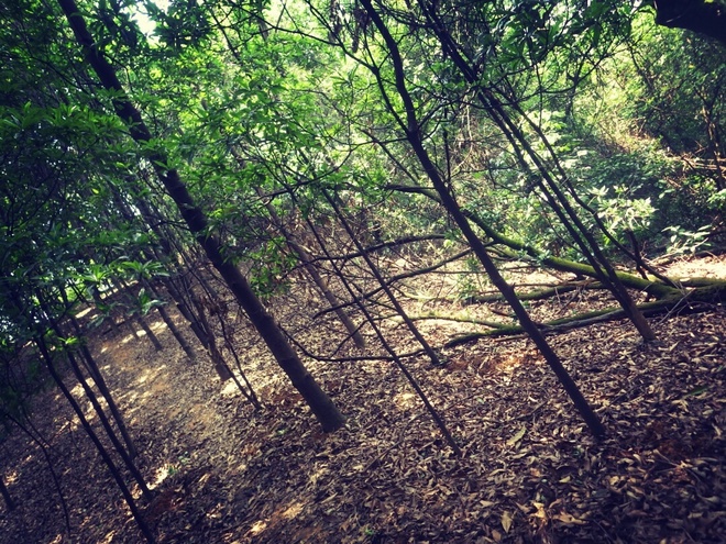 游玩过总有惊喜 只因沿路友你——记友友领队挑战赛