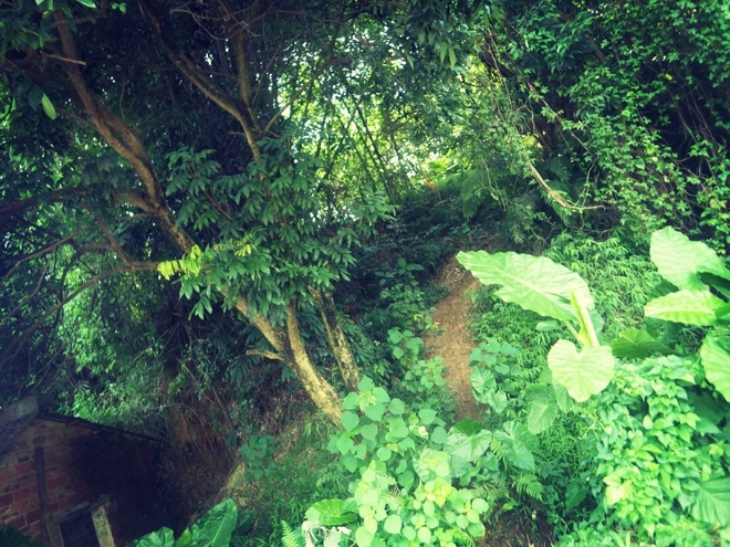 游玩过总有惊喜 只因沿路友你——记友友领队挑战赛