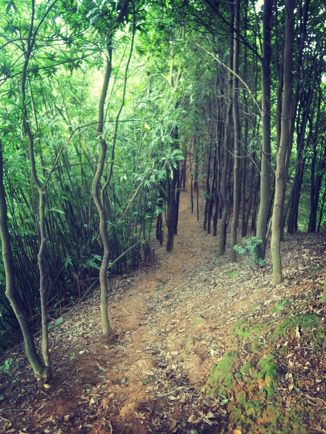 游玩过总有惊喜 只因沿路友你——记友友领队挑战赛