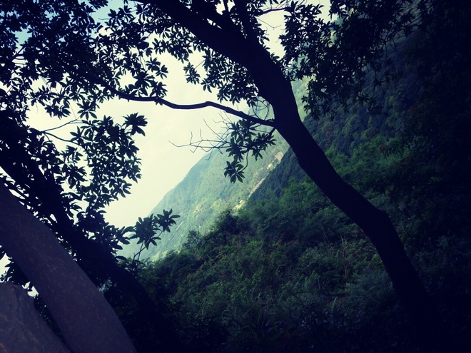 游玩过总有惊喜 只因沿路友你——记友友领队挑战赛