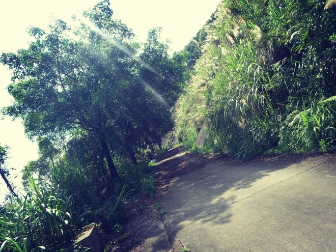 游玩过总有惊喜 只因沿路友你——记友友领队挑战赛