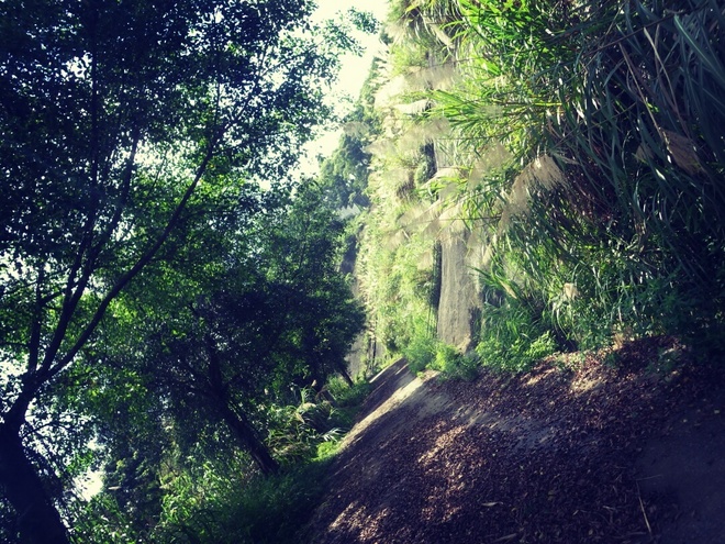 游玩过总有惊喜 只因沿路友你——记友友领队挑战赛