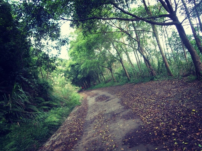 游玩过总有惊喜 只因沿路友你——记友友领队挑战赛