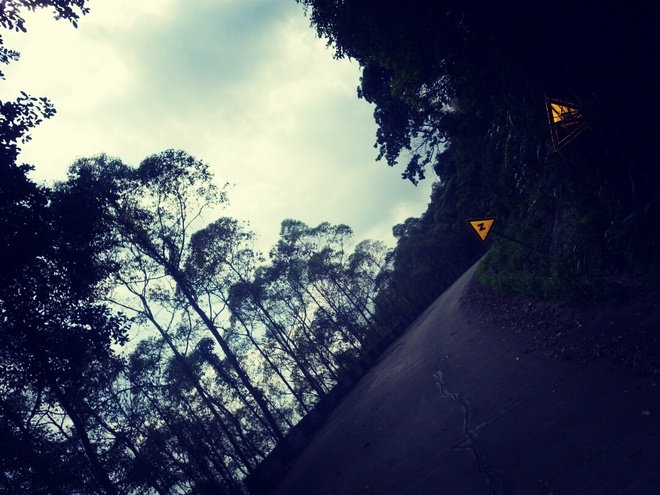 游玩过总有惊喜 只因沿路友你——记友友领队挑战赛