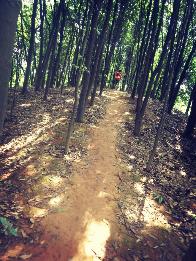 游玩过总有惊喜 只因沿路友你——记友友领队挑战赛