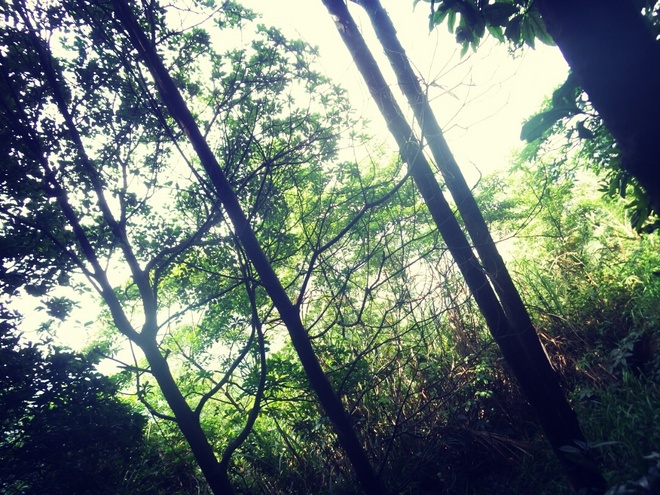 游玩过总有惊喜 只因沿路友你——记友友领队挑战赛