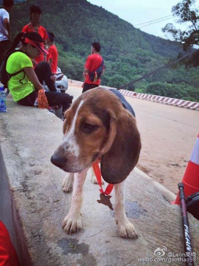 游玩过总有惊喜 只因沿路友你——记友友领队挑战赛