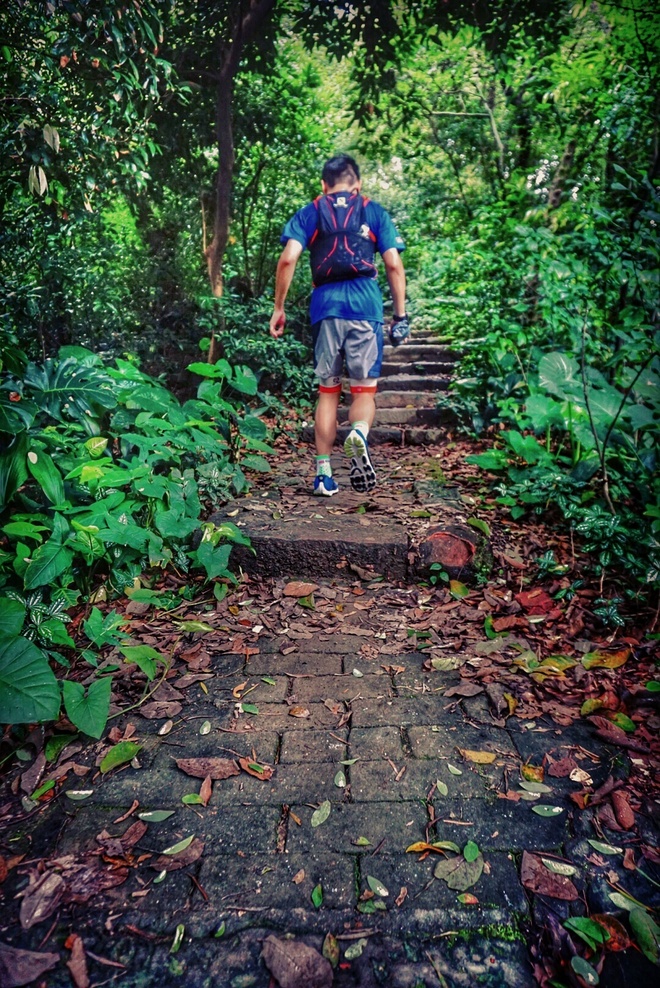 媚入骨髓 赛场上的娇粉甜心——BROOKS PURE CADENCE 4测评