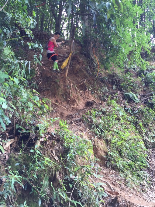 游玩过总有惊喜 只因沿路友你——记友友领队挑战赛