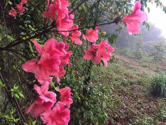 25KM杭州·追狼初探——泉眼相会