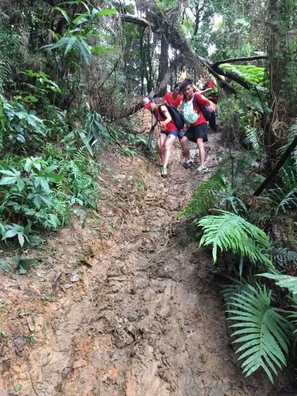 游玩过总有惊喜 只因沿路友你——记友友领队挑战赛