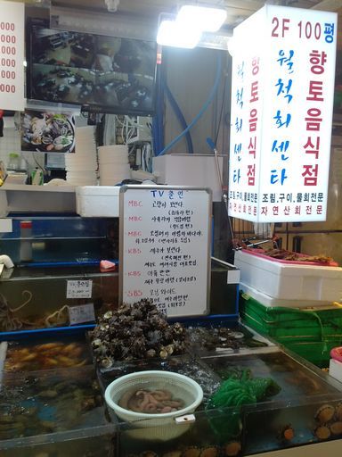 来来过周末！——2015济州岛马拉松小记