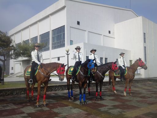 来来过周末！——2015济州岛马拉松小记