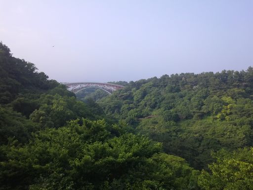 来来过周末！——2015济州岛马拉松小记