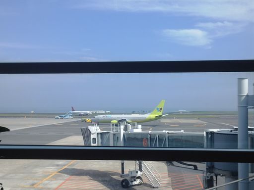 来来过周末！——2015济州岛马拉松小记