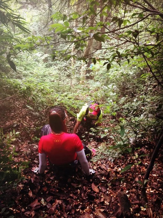 这年的端午，我在山里追狼，你在哪儿？