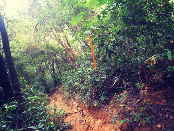 高山低谷 我的脚就是我的路——初探龙洞挑战赛路线