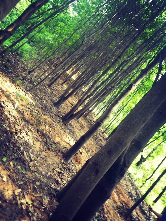 高山低谷 我的脚就是我的路——初探龙洞挑战赛路线