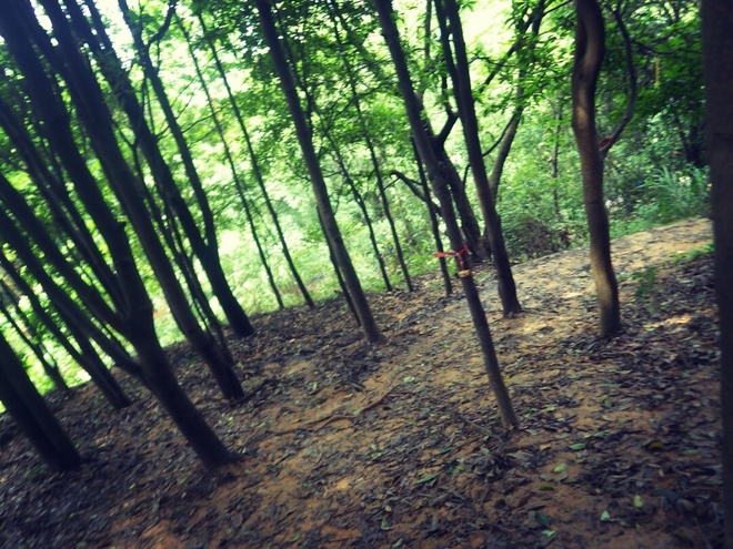 高山低谷 我的脚就是我的路——初探龙洞挑战赛路线