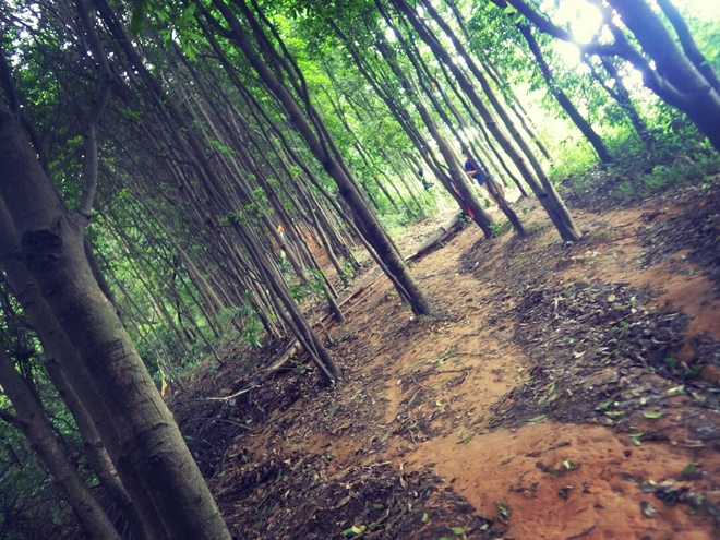 高山低谷 我的脚就是我的路——初探龙洞挑战赛路线