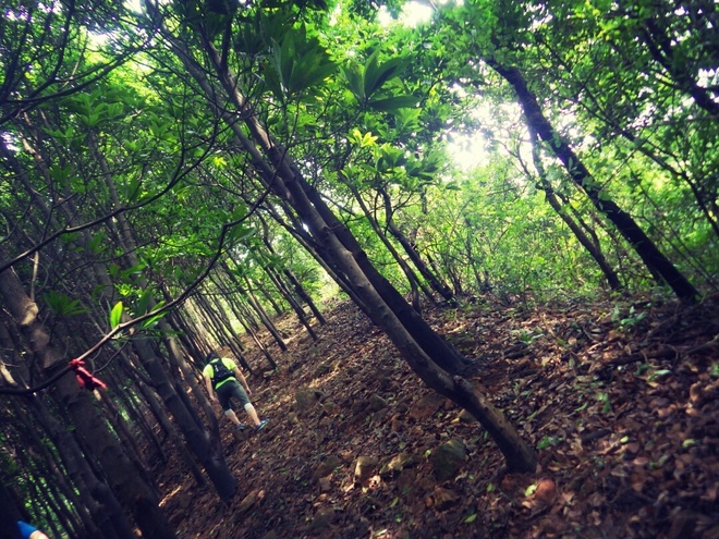 高山低谷 我的脚就是我的路——初探龙洞挑战赛路线